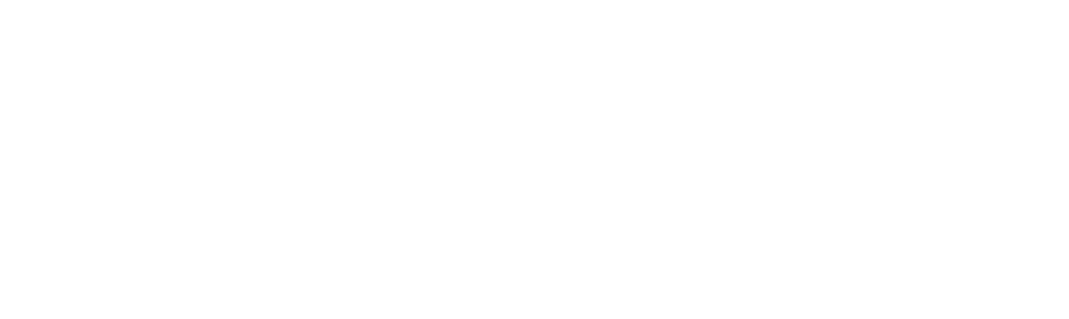 • Lys for alle form l • Lett og kompakt design • Belysning med 1000 lumen • Fleksibelt lampehode 