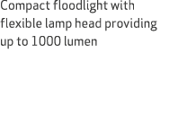 Compact floodlight with flexible lamp head providing up to 1000 lumen 