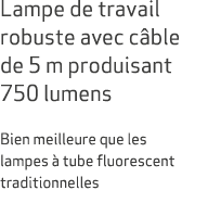 Lampe de travail robuste avec c ble de 5 m produisant 750 lumens Bien meilleure que les lampes  tube fluorescent tra...