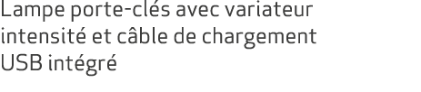 Lampe porte cl s avec variateur intensit et c ble de chargement USB int gr 
