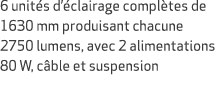 6 unit s d’ clairage compl tes de 1630 mm produisant chacune 2750 lumens, avec 2 alimentations 80 W, c ble et suspension